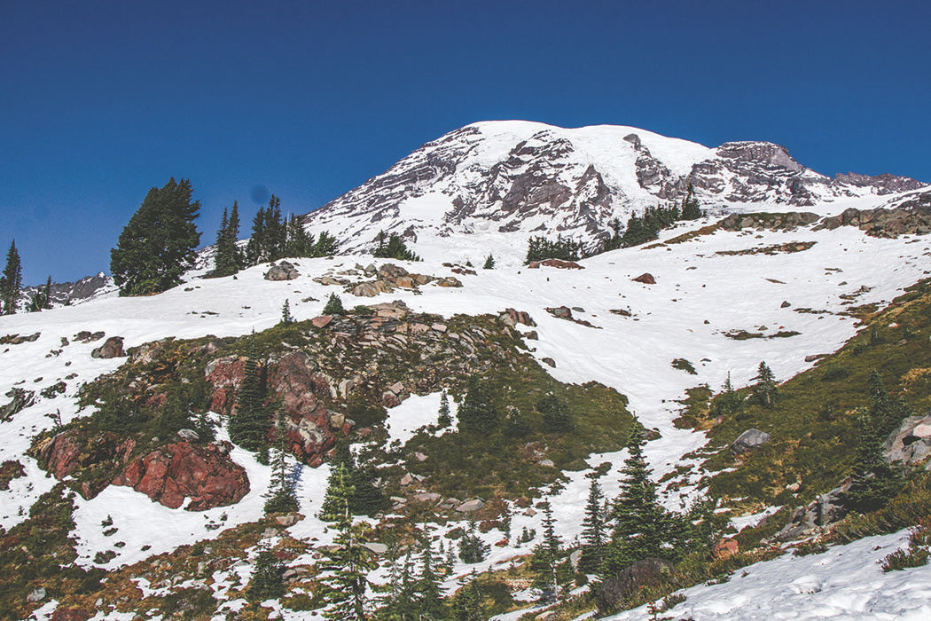 Photos: From Paradise in Mount Rainier National Park